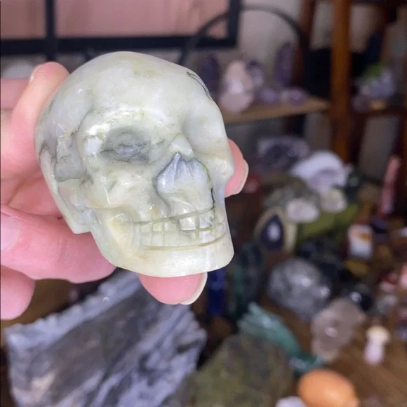 Unique Black Lace Serpentine Skull Carving - Picture 3 of 7